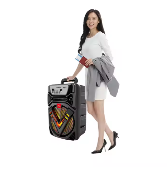 Portable Speaker with Handle