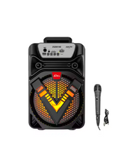 Portable Speaker with Handle