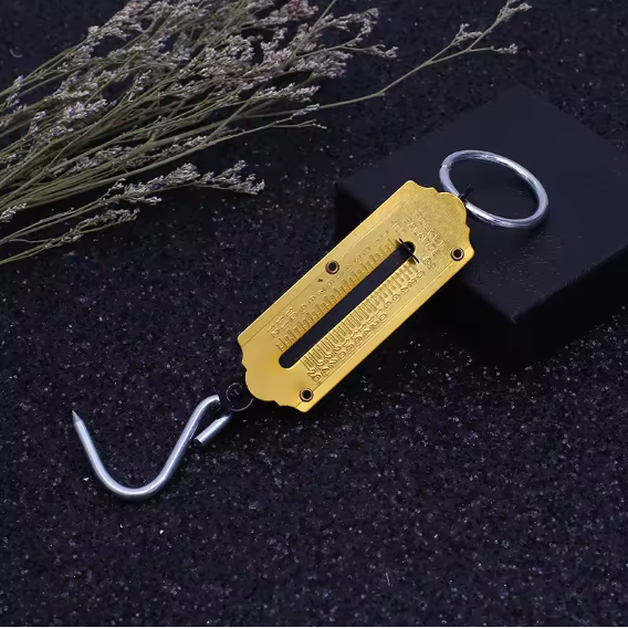 Handheld Luggage Scale