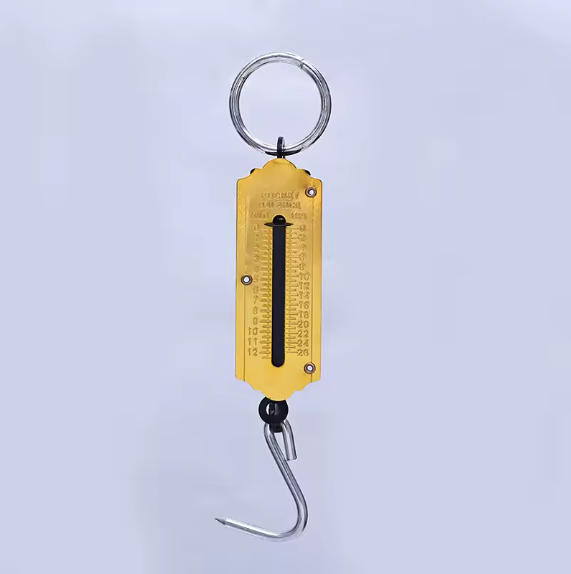 Handheld Luggage Scale