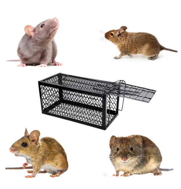 Mouse Trap Cage